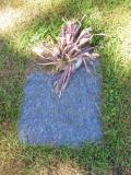 image of grave number 654710